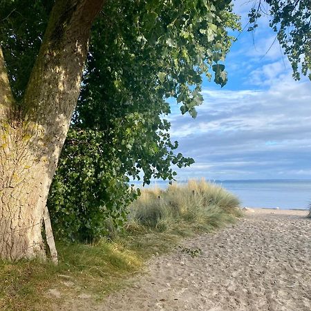 Feriendorf Suedstrand Haus 36 Pelzerhaken Exteriér fotografie